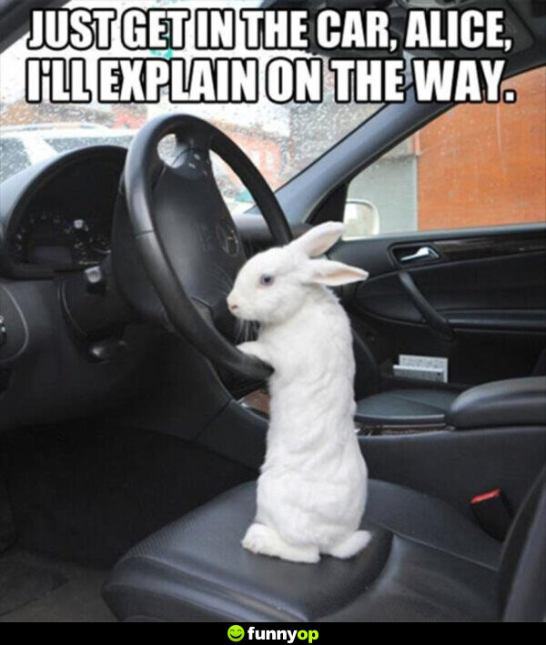 Just get in the car, alice, i'll explain on the way.