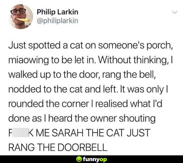Just spotted a cat on someone's porch, meowing to be let in. without thinking, I walked up to the door, rang the bell, nodded to the cat and left. it was only I rounded the corner I realized what i'd done as I heard the owner shouting, 