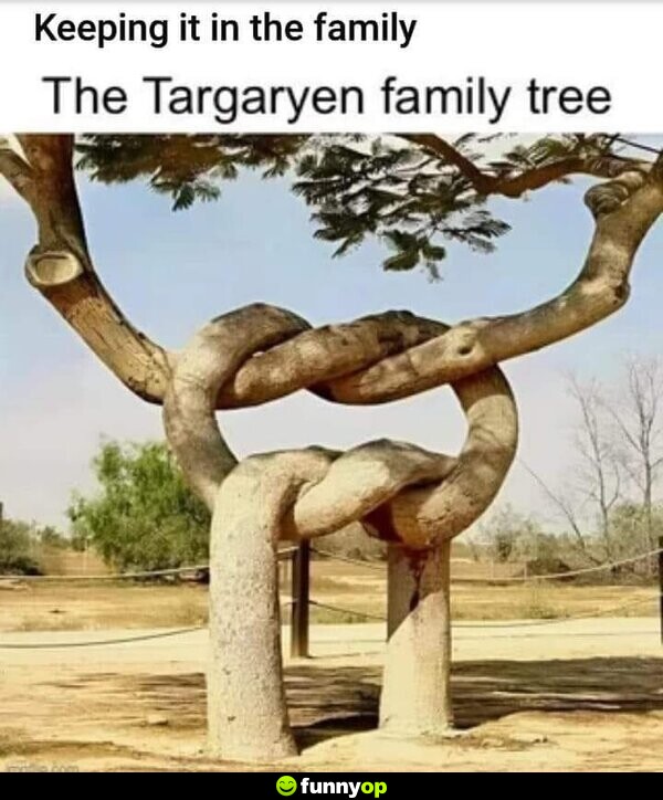 Keeping it in the family: The Targaryen family tree