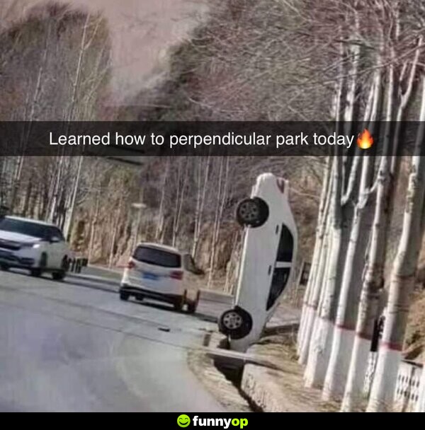 Learned how to perpendicular park today.