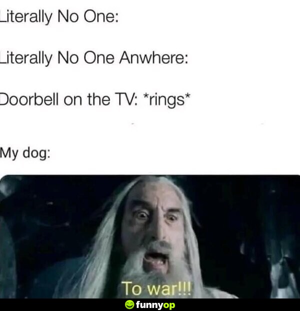 Literally No One: Literally No One Anywhere: Doorbell on the TV: *rings* My dog: To war!!!
