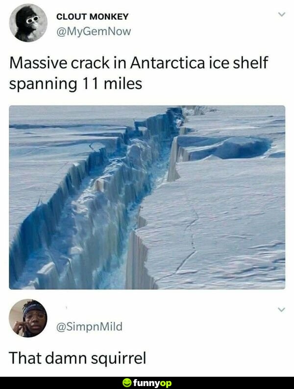 Massive crack in antarctica ice shelf spanning 11 miles that d*** squirrel.