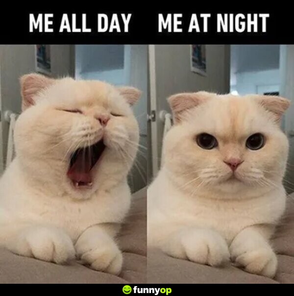 Me all day Me at night.