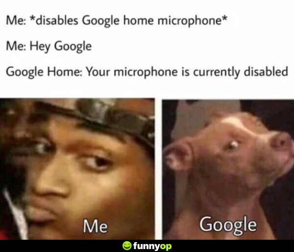 ME: *disables Google Home microphone* ME: 