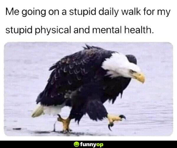ME going on a stupid dailiy walk for my stupid physical and mental health.