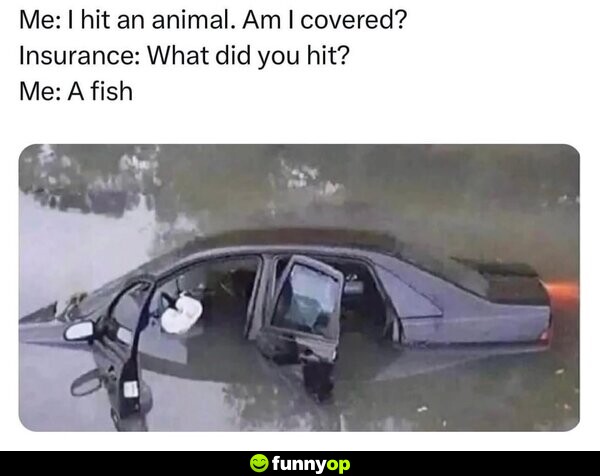 Me: I hit an animal. Am I covered? Insurance: What did you hit? Me: A fish.