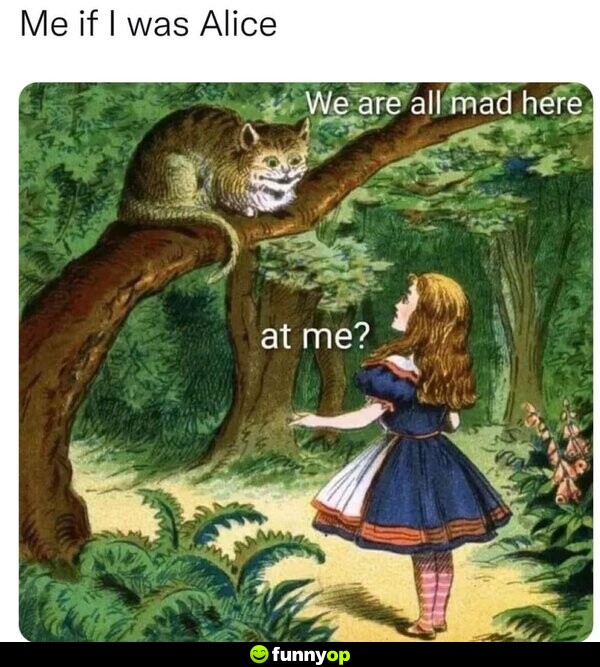 Me if I was Alice Cheshire Cat: We are all mad here Alice: ..at me?