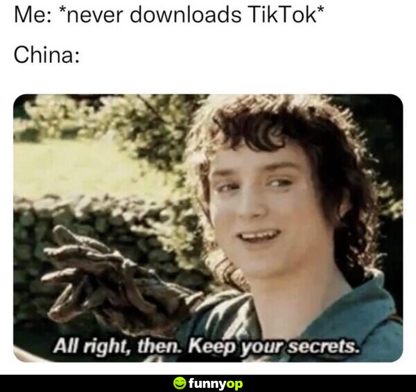 Me: *never downloads TikTok* China: All right, then. Keep your secrets.