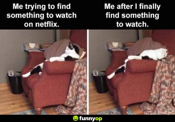 Me trying to find something to watch on Netflix. *watching intently* Me after I finally find something to watch. *sleeping*