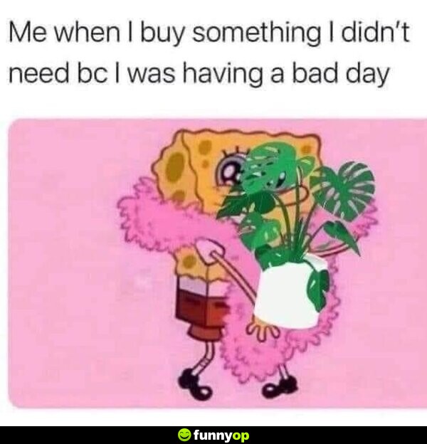 Me when I buy something I didn't need because I was having a bad day