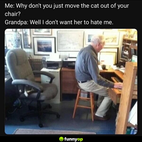 Me: Why don't you just move the cat out of your chair? Grandpa: Well I don't want her to hate me.