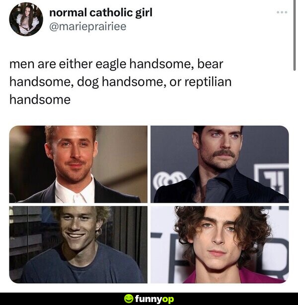 Men are either eagle handsome, bear handsome, dog handsome, or reptilian handsome