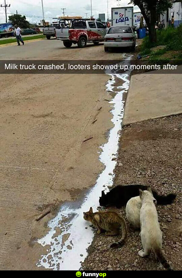 Milk truck crashed looters showed up moments after.