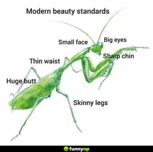 Modern beauty standards: Huge b***, thin waist, small face, small face, big eyes, sharp chin, skinny legs