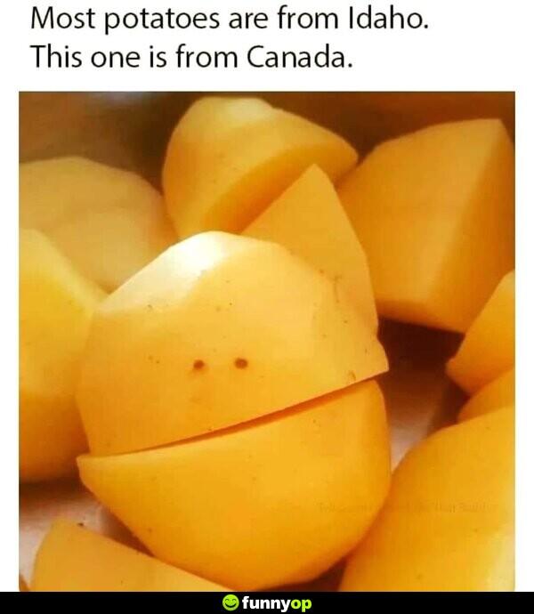 Most potatoes are from Idaho. This one is from Canada.