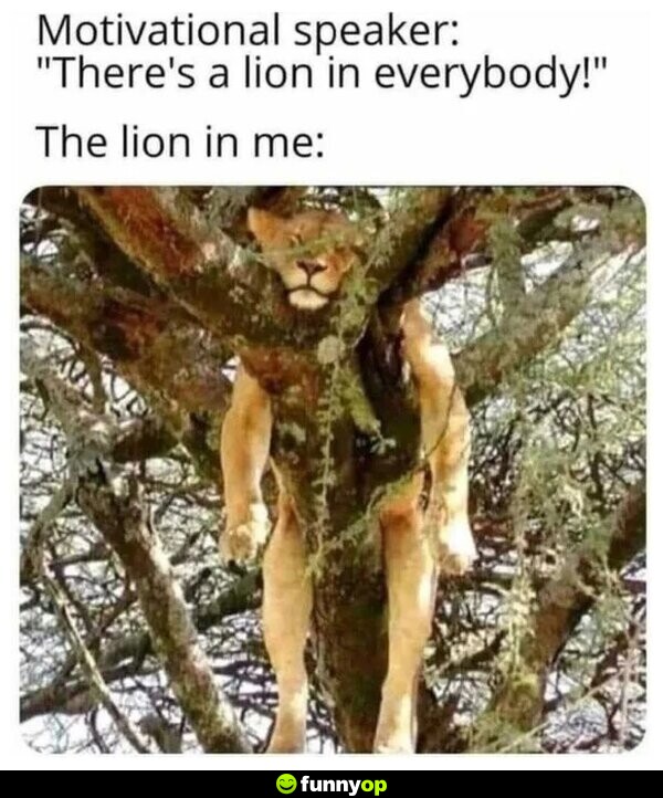 Motivational speaker: there's a lion in everybody the lion in me.