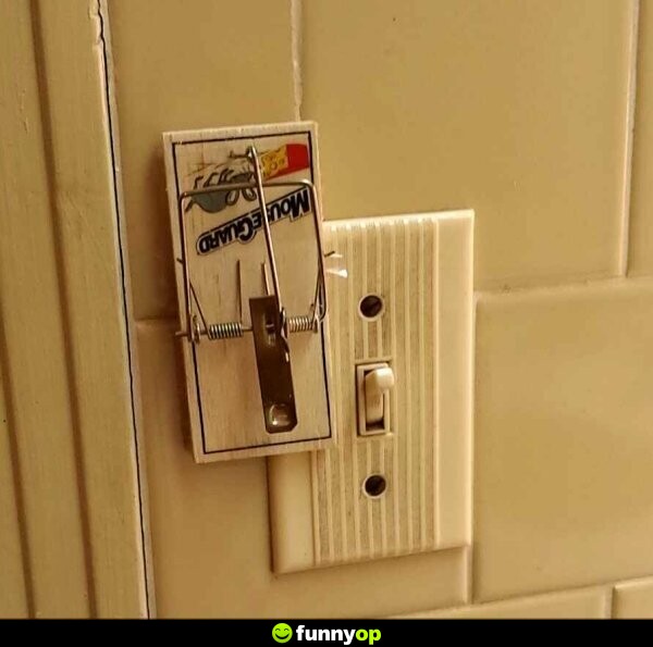 *mouse trap next to light switch*