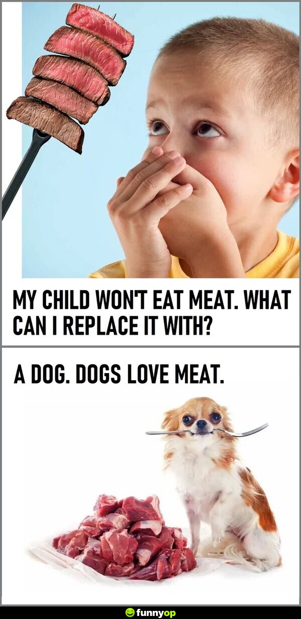My child won't eat meat, what can I replace it with a dog. dogs love meat.