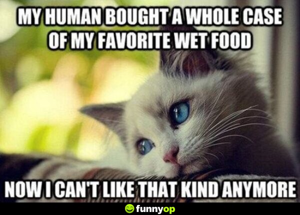 My human bought a whole case of my favorite wet food. Now I can't like that kind anymore.