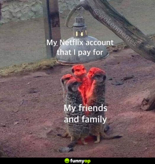 My Netflix account that I pay for my friends and family.