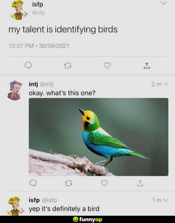 My talent is identifying birds. Okay. What's this one? Yep it's definitely a bird.