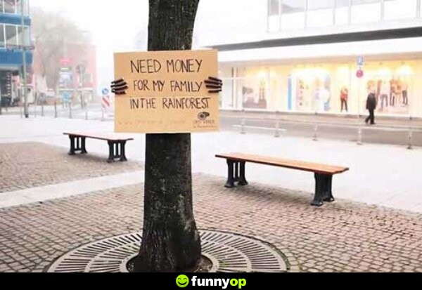 Need money for my family in the rainforest.