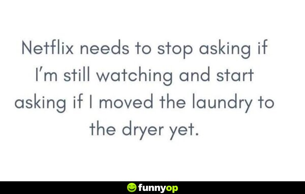 Netflix needs to stop asking if I'm still watching and start asking if I moved the laundry to the dryer yet.
