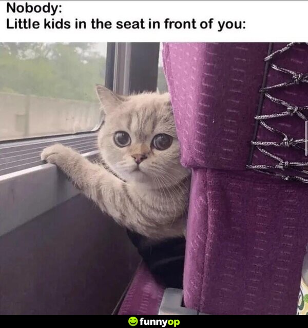 Nobody: Little kids in the seat in front of you: