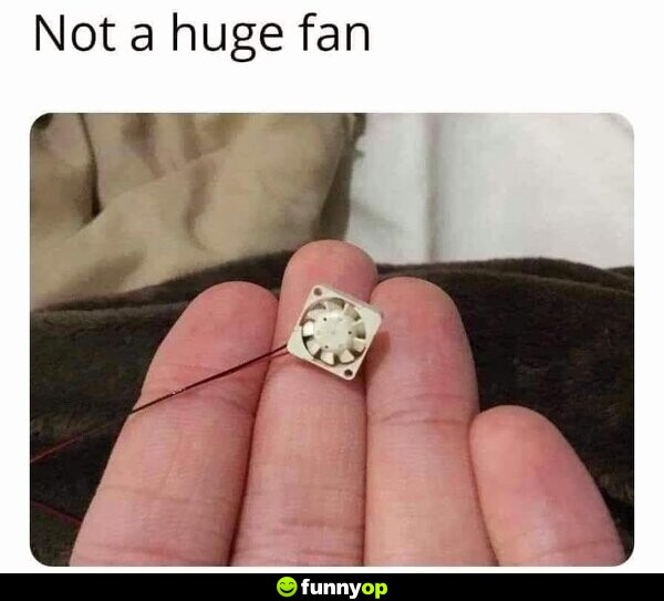 Not a huge fan