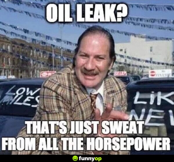 Oil leak? that's just sweat from all the horsepower.