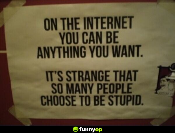 On the internet you can be anything you want. It's strange that so many people choose to be stupid.