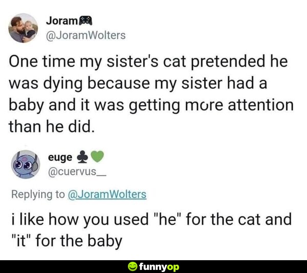 One time my sister's cat pretended he was dying because my sister had a baby, and it was getting more attention than he did. I like how you used 