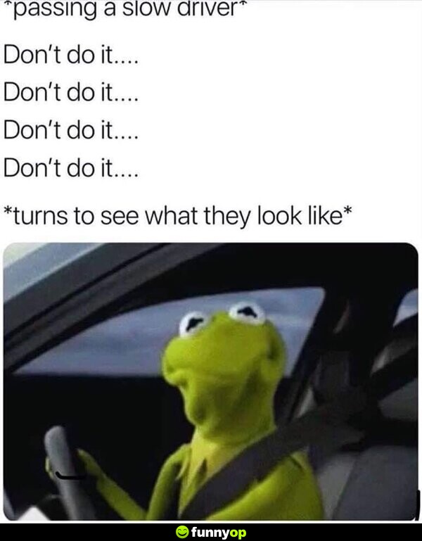 *passing a slow driver* Don't do it.... Don't do it.... Don't do it.... Don't do it.... *turns to see what they look like*