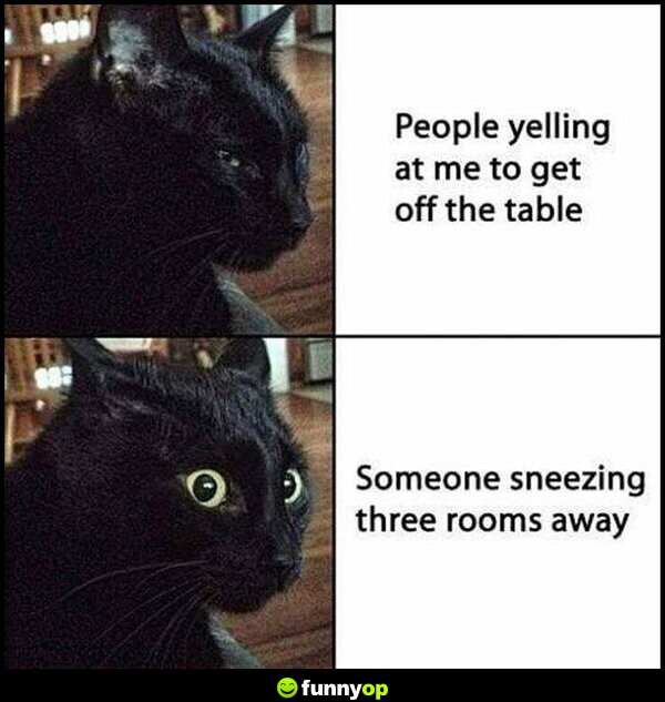 People yelling at me to get off the table someone sneezing three rooms away.