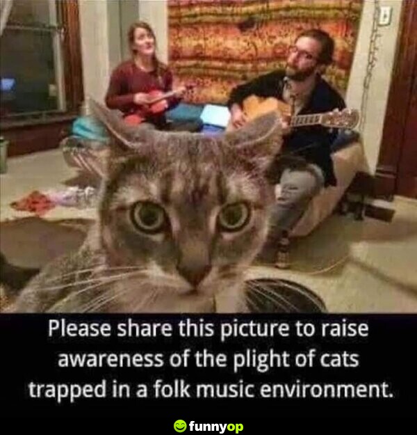 Please share this picture to raise awareness of the plight of cats trapped in a folk music environment.