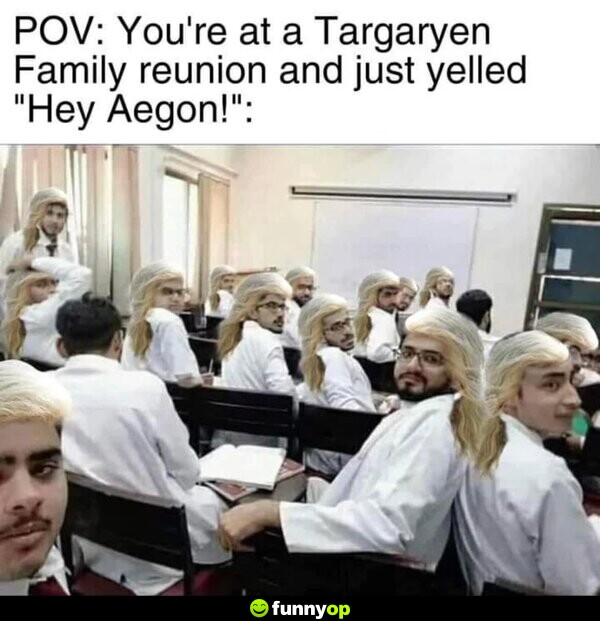POV: You're at a Targaryen Family reunion and just yelled, 