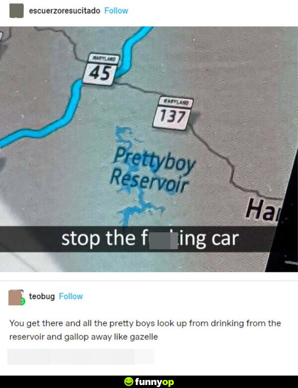 [Prettyboy Reservoir] Stop the f****** car. You get there, and all the pretty boys look up from drinking from the reservoir and gallop away like gazelle.