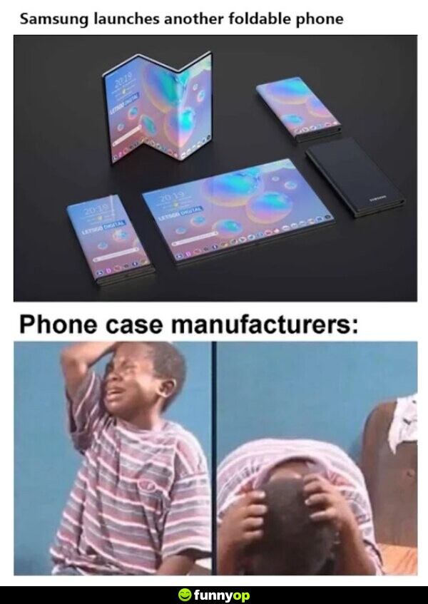 Samsung launches another foldable phone. Phone case manufacturues: *crying*
