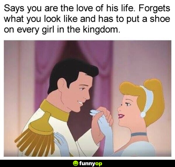 Says you are the love of his life. Forgets what you look like and has to put a shoe on every girl in the kingdom.