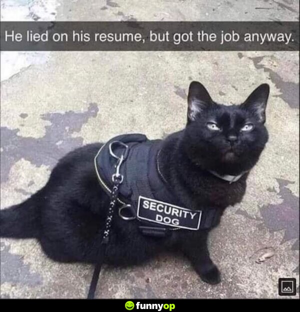 *Security Dog* He lied on his resume but got the job anyway.