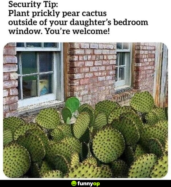 Security Tip: Plant prickly pear cactus outside of your daughter's bedroom window. You're welcome!