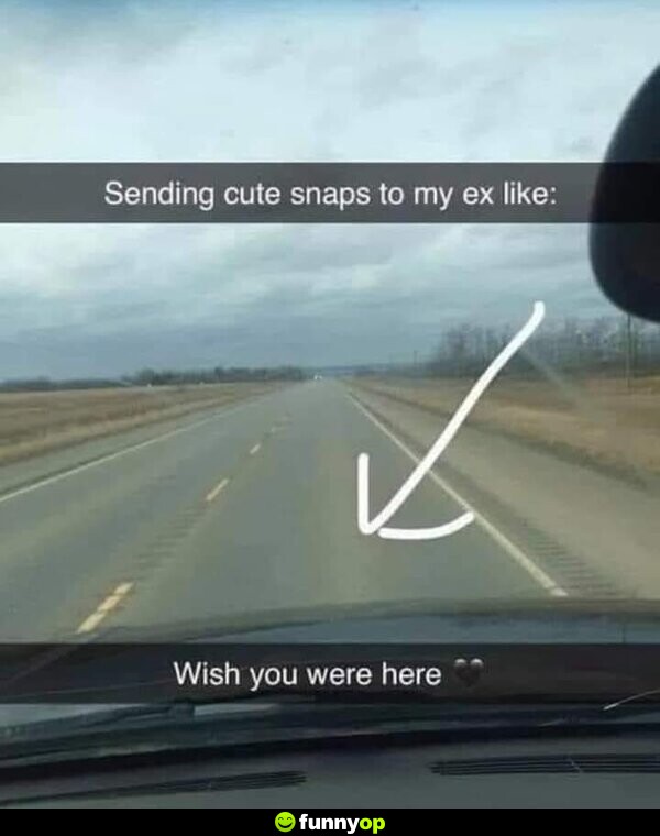Sending cute snaps to my ex like: Wish you were here