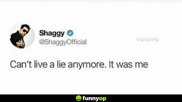Shaggy: Can't live a lie anymore. It was me.