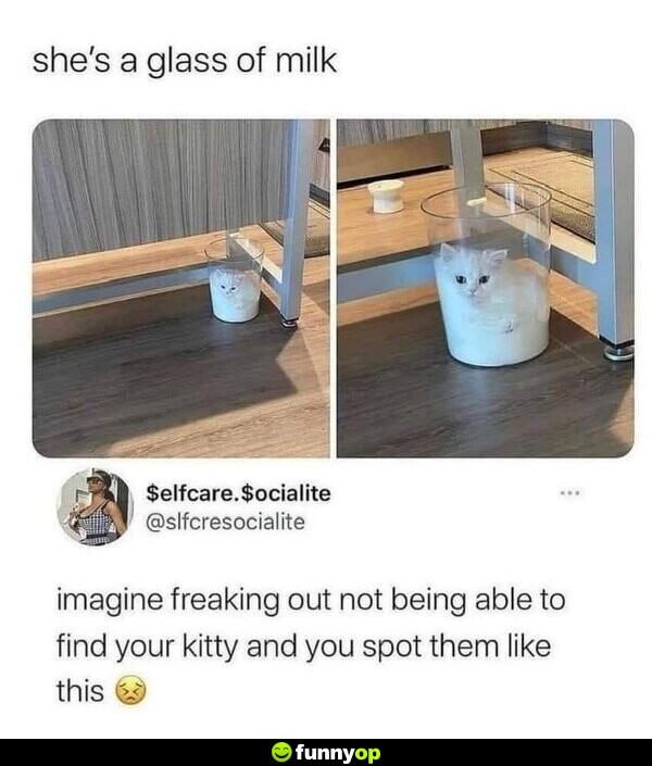 She's a glass of milk. Imagine freaking out not being able to find your kitty, and you spot them like this.