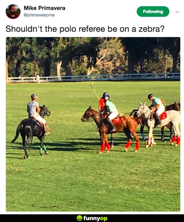 Shouldn't the polo referee be on a zebra?