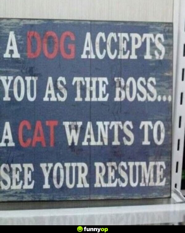 SIGN: A dog accepts you as the boss ... a cat wants to see your resume.