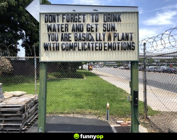 SIGN: Don't forget to drink water and get sun. You are basically a plant with complicated emotions.