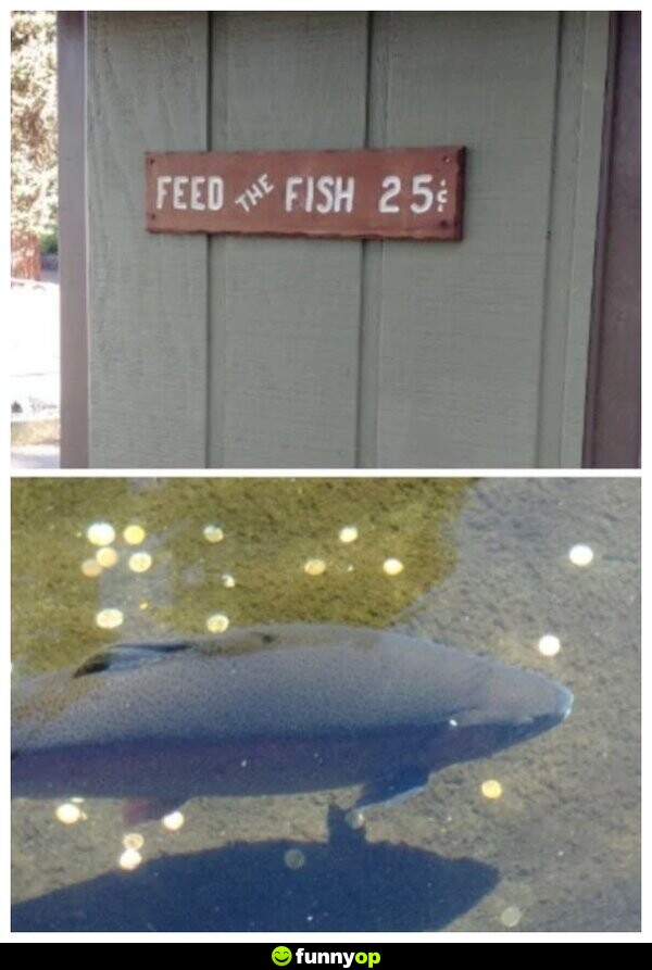 SIGN: Feed the Fish 25 cents.