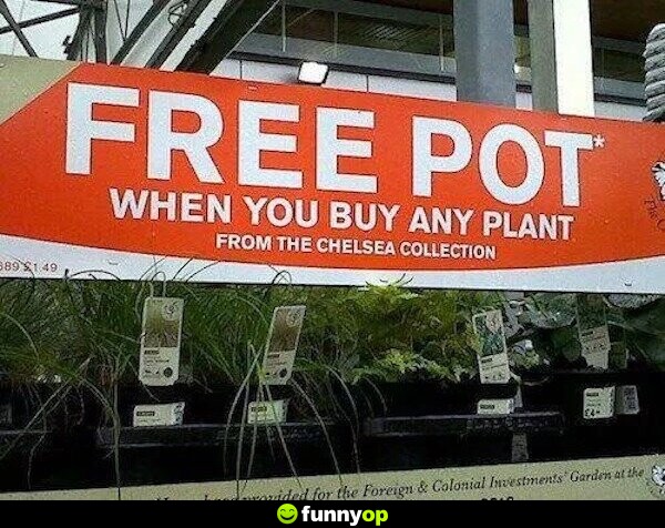 SIGN: FREE POT .. when you buy any plant .. from the Chelsea Collection.