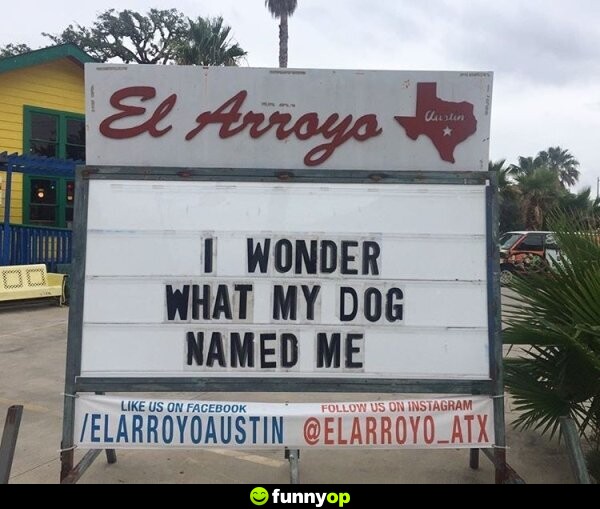SIGN: I wonder what my dog named me.